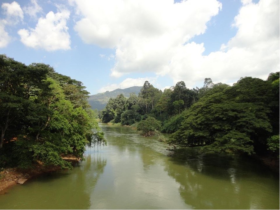 Kelani River in Kitulgala, dem Ort in Sri Lanka, an dem die berühmte Brücke gedreht wurde.