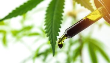 cbd