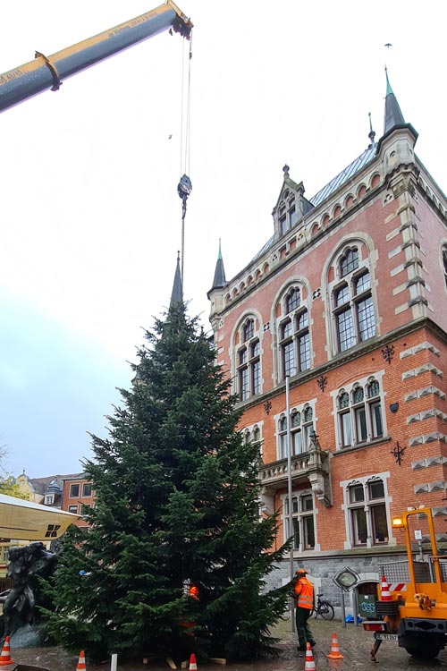 Auf dem Rathausmarkt und an verschiedenen Orten in der Innenstadt läuten Tannenbäume die Vorweihnachtszeit ein.