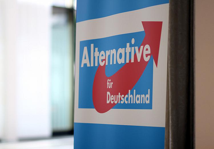 Alternative für Deutschland (AfD), über dts Nachrichtenagentur