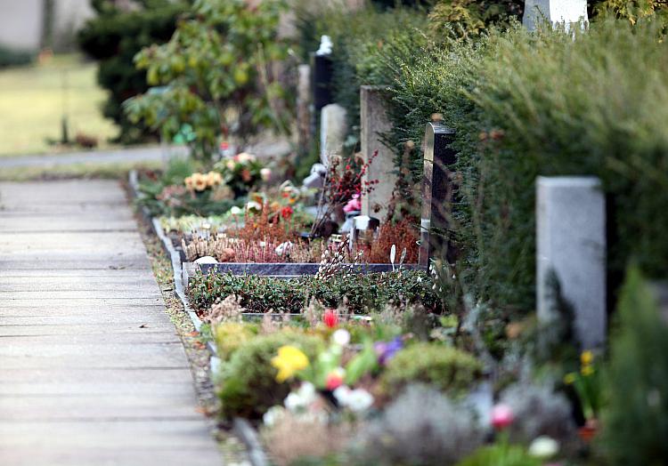 Friedhof, über dts Nachrichtenagentur