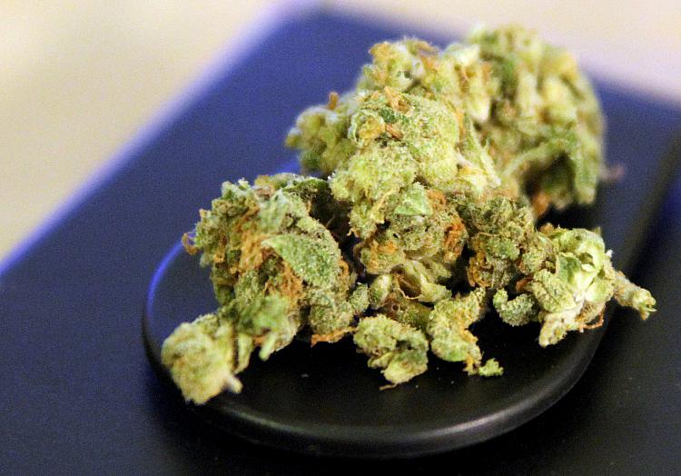 Cannabis, über dts Nachrichtenagentur