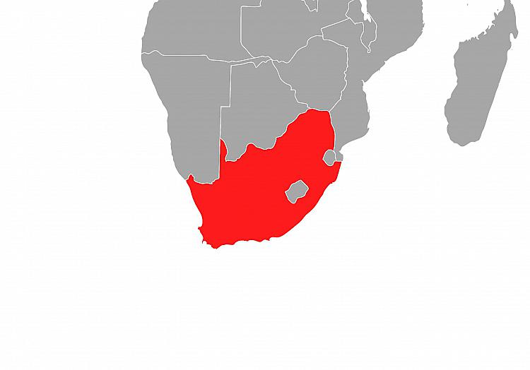 Südafrika, über dts Nachrichtenagentur