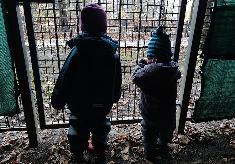 Kinder hinter einem Gitter, über dts Nachrichtenagentur