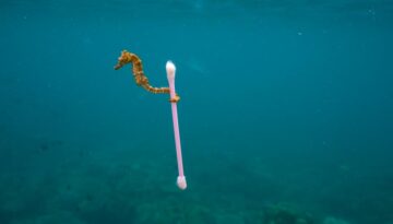 plastik