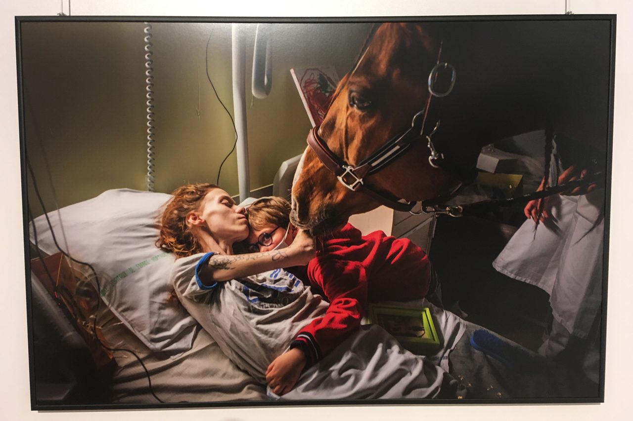 Pferd Peyo im Einsatz einer tiergestützten Therapie in einem Palliativzentrum in Calais bei Marion und ihrem Sohn Ethan. Peyo unterstützt monatlich rund 20 Patienten.