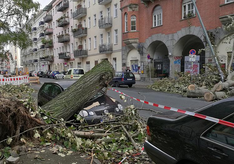 Schäden nach Sturmtief, über dts Nachrichtenagentur