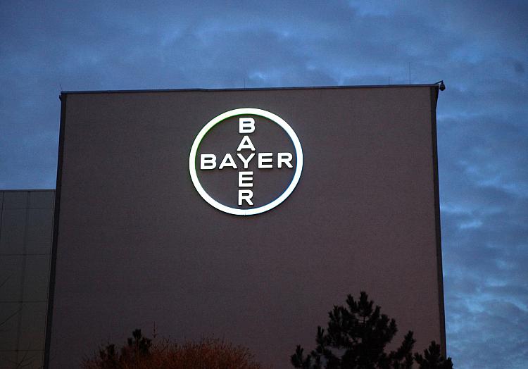 Bayer, über dts Nachrichtenagentur