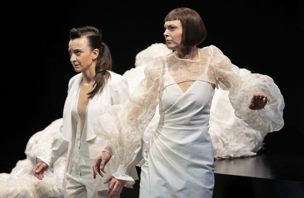 Staatstheater: „Schwarze Schwäne“ begeistern