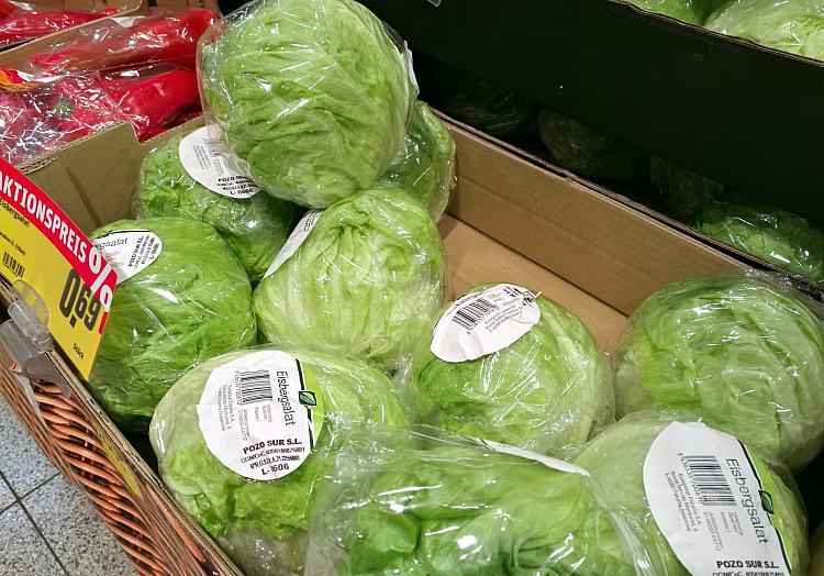 Eisbergsalat, über dts Nachrichtenagentur