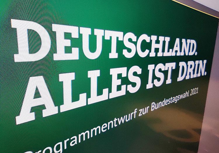 Grünen-Wahlprogramm 2021, über dts Nachrichtenagentur