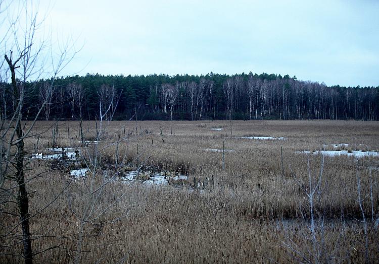 Moorlandschaft, über dts Nachrichtenagentur