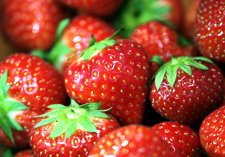 Erdbeeren, über dts Nachrichtenagentur