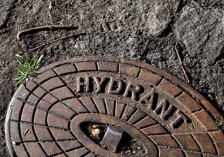 Hydrant, über dts Nachrichtenagentur