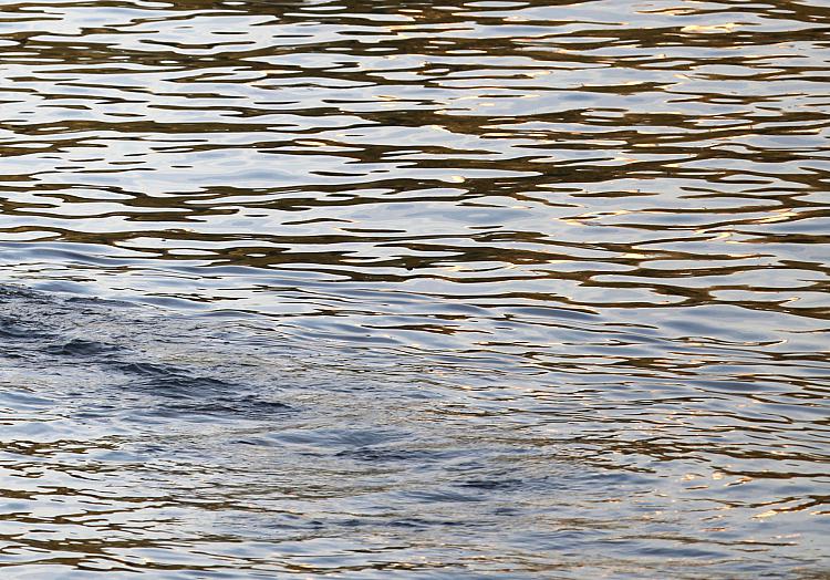 Wasser, über dts Nachrichtenagentur