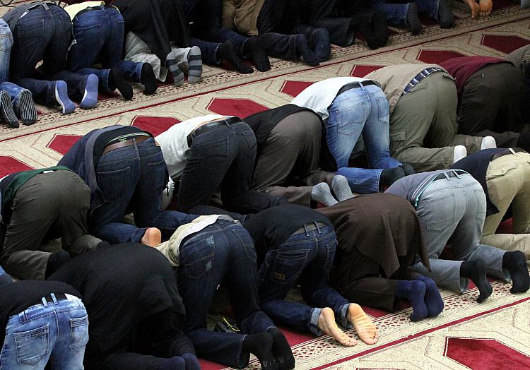 Gläubige Muslime beim Gebet in einer Moschee, über dts Nachrichtenagentur