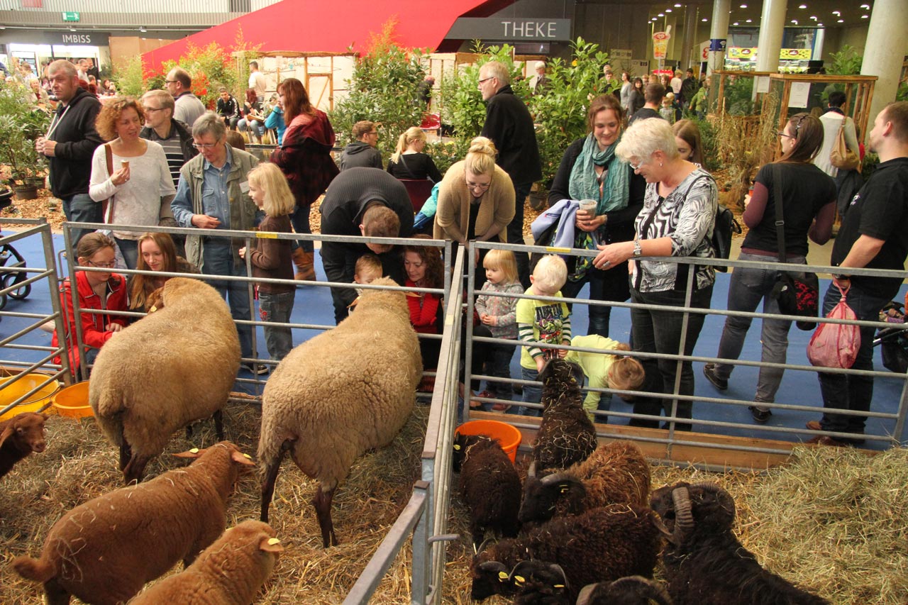Der Bauernhof lockt immer zahlreiche Besucherinnen und Besucher an.