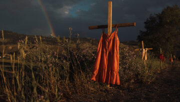 world-press-photo-amber-bracken