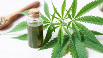 cannabis-oel