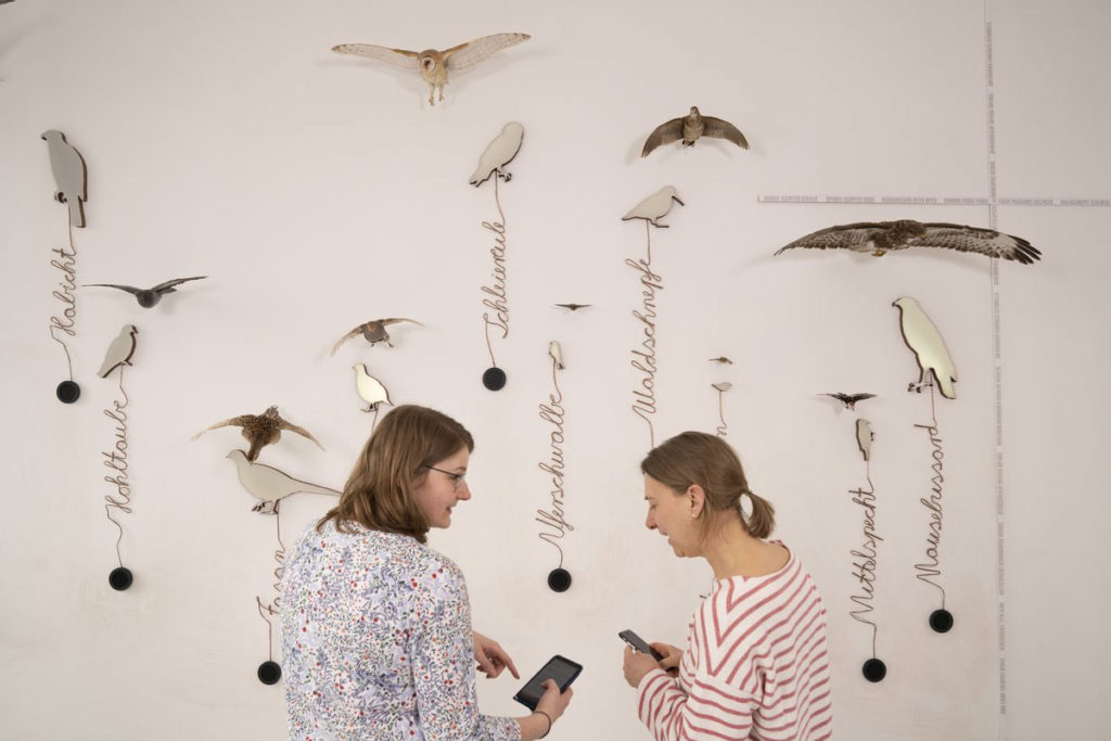 Natur und Mensch: Landesmuseum blickt positiv nach vorn