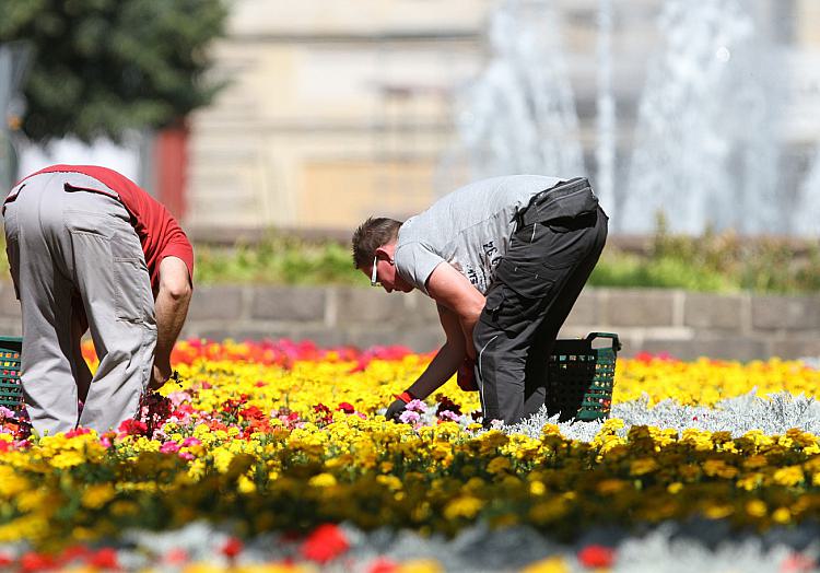 Gartenarbeiter auf einem Blumenbeet, über dts Nachrichtenagentur