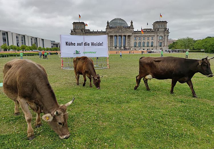 Greenpeace-Protest am 16.05.2023, über dts Nachrichtenagentur