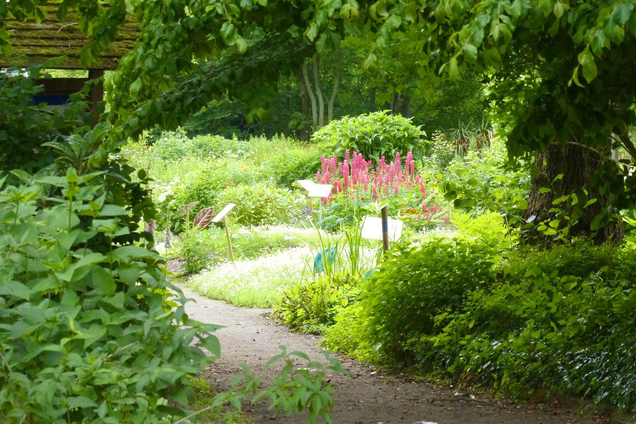 Der Botanische Garten ist eine der sechs Stationen, die Strategien der Klimaanpassung aufzeigen.