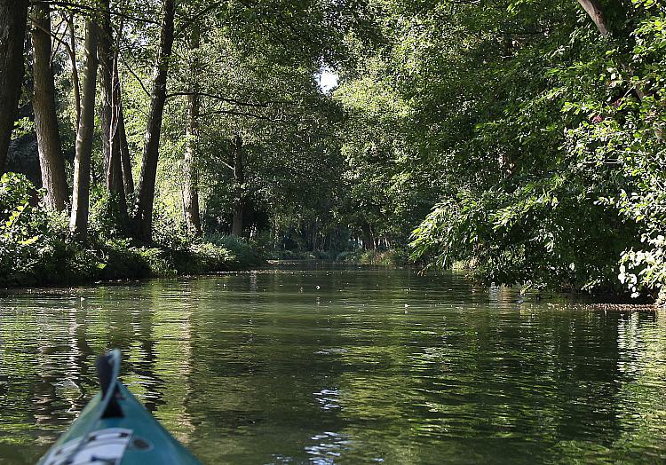 Spreewald, über dts Nachrichtenagentur