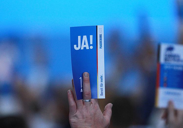 Abstimmung auf AfD-Parteitag (Archiv), über dts Nachrichtenagentur