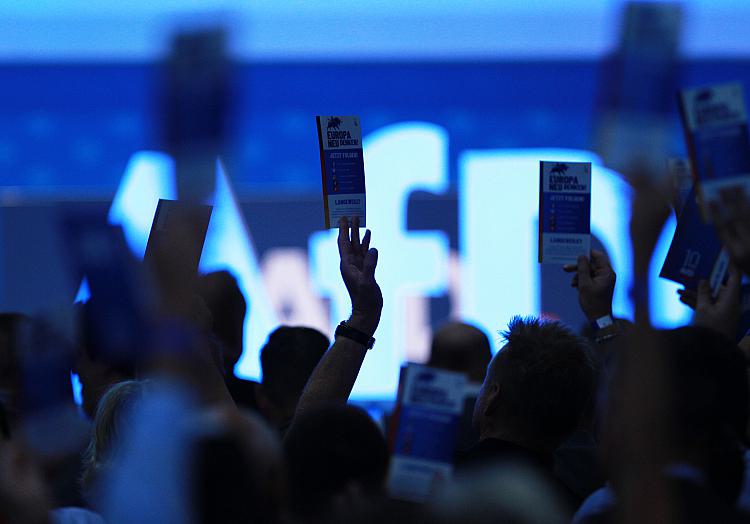 Abstimmung auf AfD-Parteitag (Archiv), über dts Nachrichtenagentur