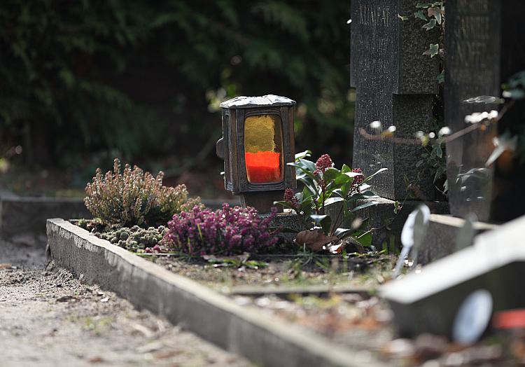 Friedhof (Archiv), über dts Nachrichtenagentur