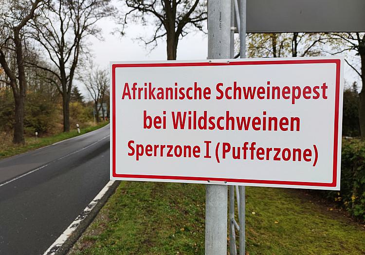 Warnschild Afrikanische Schweinepest (Archiv), über dts Nachrichtenagentur