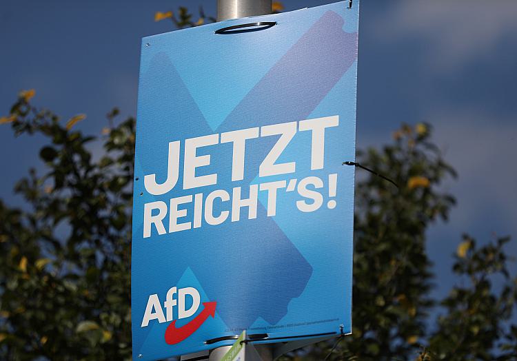 AfD-Wahlplakat (Archiv), über dts Nachrichtenagentur