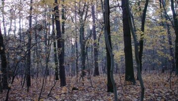 dts_image_1435_onjtthcttt_344_750_524.jpg