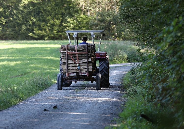 Holztransport mit einem Traktor (Archiv), via dts Nachrichtenagentur