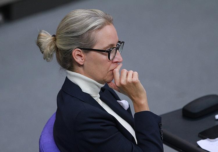 Alice Weidel (Archiv), via dts Nachrichtenagentur