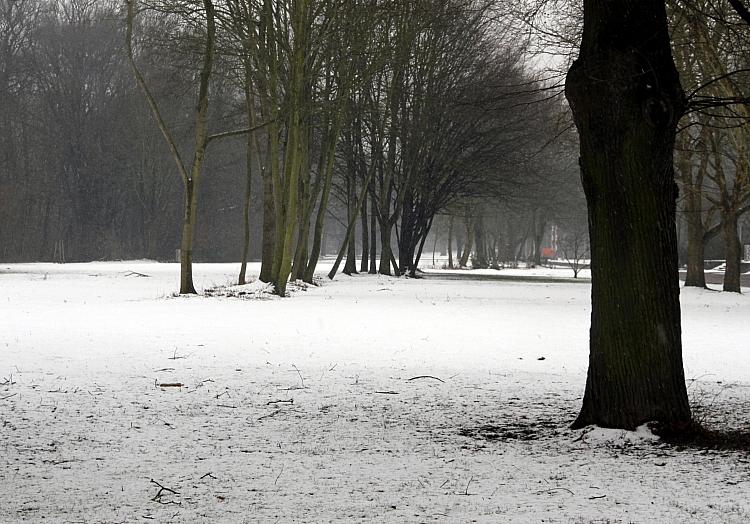 Winterlandschaft (Archiv), via dts Nachrichtenagentur