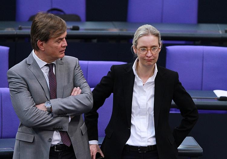 Bernd Baumann und Alice Weidel (Archiv), via dts Nachrichtenagentur