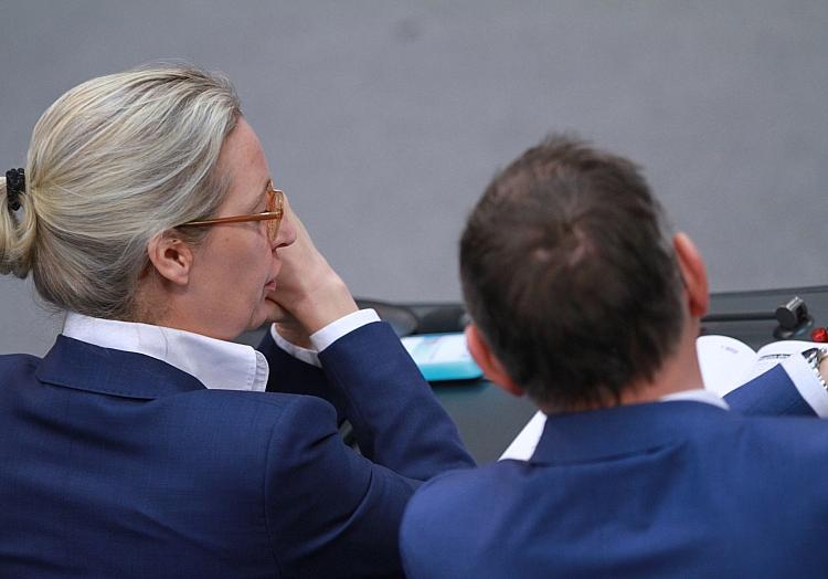 Alice Weidel und Tino Chrupalla (Archiv), via dts Nachrichtenagentur