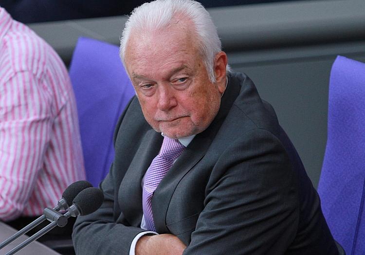 Wolfgang Kubicki (Archiv), via dts Nachrichtenagentur