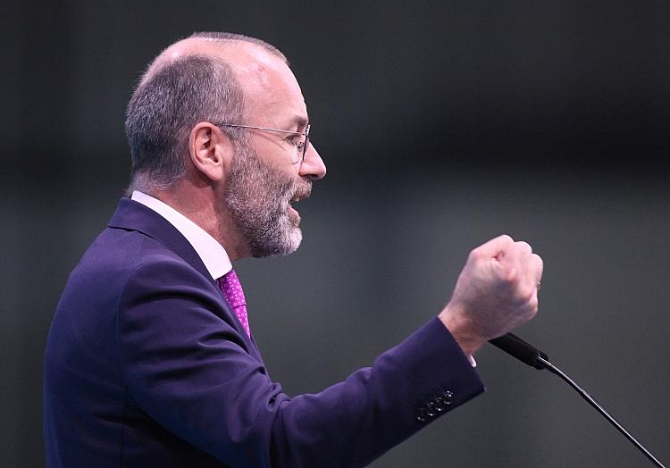 Manfred Weber (Archiv), via dts Nachrichtenagentur