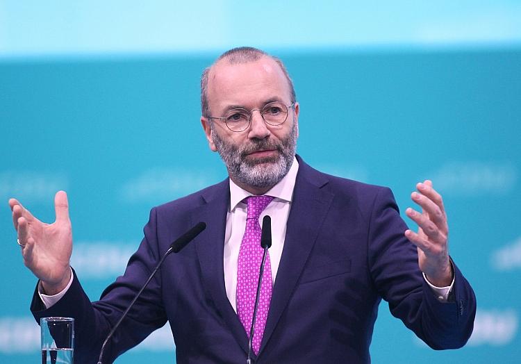 Manfred Weber (Archiv), via dts Nachrichtenagentur