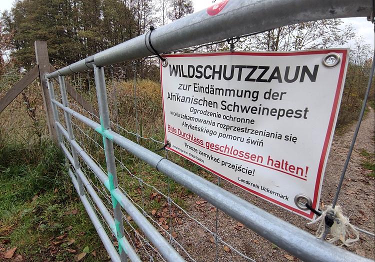 Wildschutzzaun gegen Afrikanische Schweinepest (Archiv), via dts Nachrichtenagentur