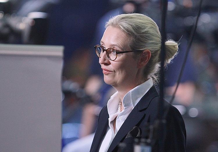 Alice Weidel (Archiv), via dts Nachrichtenagentur