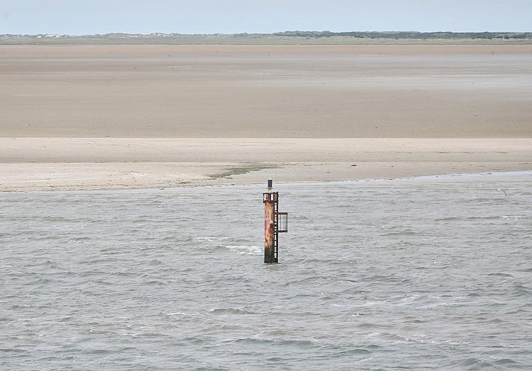 Dalbe in der Nordsee (Archiv), via dts Nachrichtenagentur