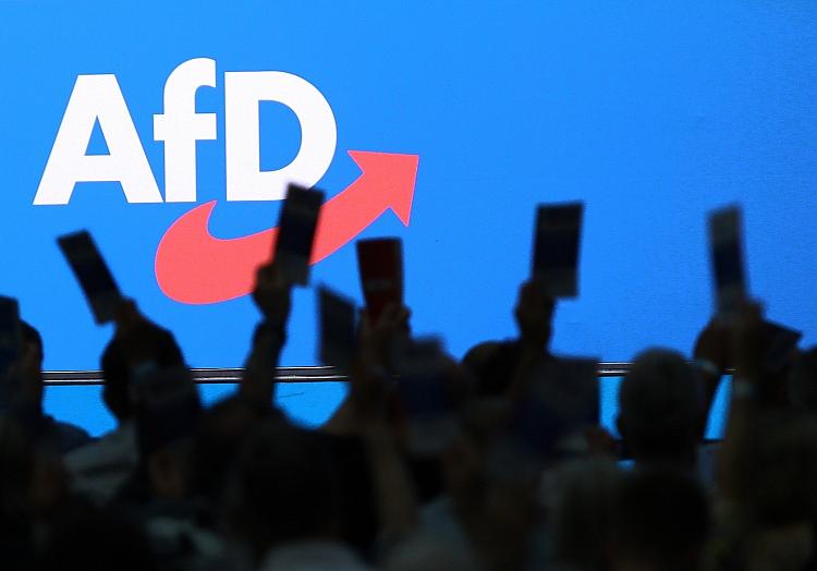 AfD-Logo (Archiv), via dts Nachrichtenagentur