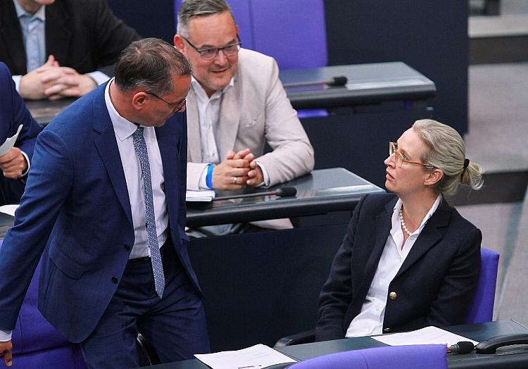 AfD-Abgeordnete Chrupalla, Reichardt, Weidel (Archiv), via dts Nachrichtenagentur