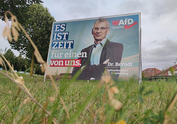 AfD-Wahlplakat mit Hans-Christoph Berndt zur Landtagswahl in Brandenburg (Archiv), via dts Nachrichtenagentur