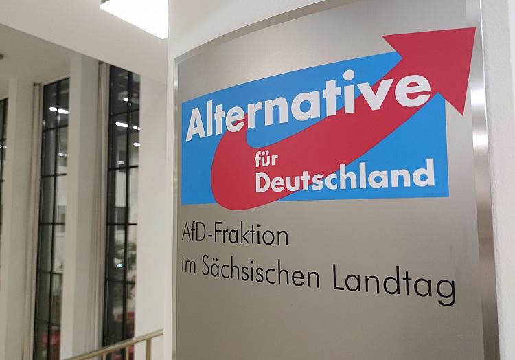AfD-Fraktion im Sächsischen Landtag (Archiv), via dts Nachrichtenagentur