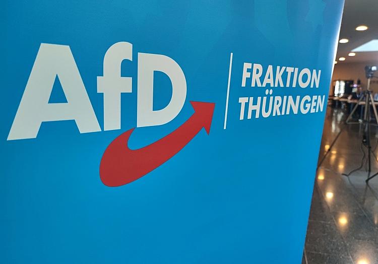 AfD-Fraktion im Thüringer Landtag (Archiv), via dts Nachrichtenagentur